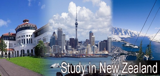 new zealand education and study and education consultants in jaipur_www.lnconsultancy.com